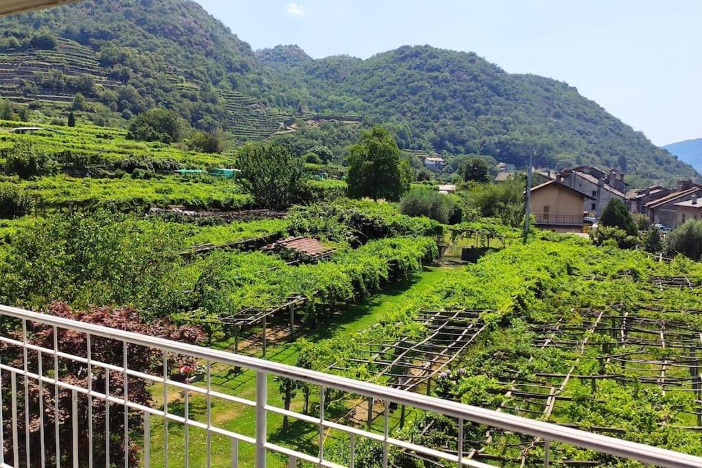 Apartamento La Casa Dei Nonni 3,0 Carema Exterior foto
