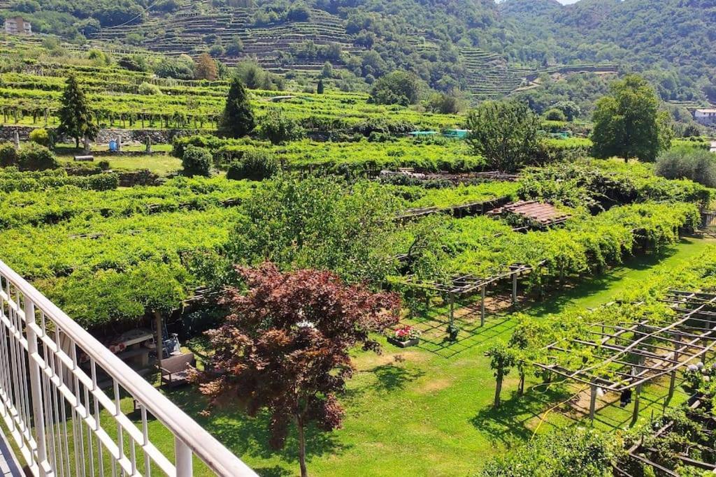Apartamento La Casa Dei Nonni 3,0 Carema Exterior foto